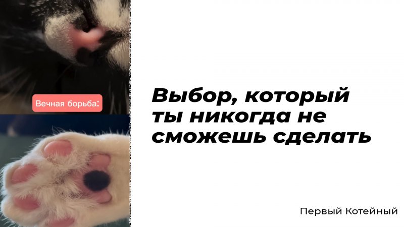 Выбор, который ты никогда не сможешь сделать ?️