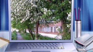 Моя малая Родина-Пос. Сорокино.