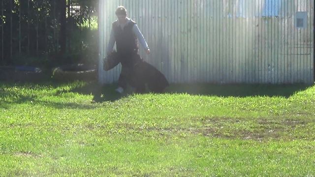 Соревнования по ОКД 11.09.2016 г., Рыбинск смотреть онлайн