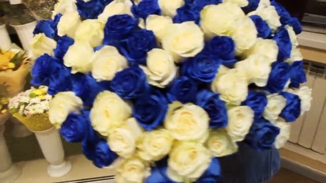 Большой букет из 101 синей и белой розы смотреть онлайн