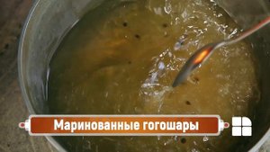 Маринованные гогошары. Краски молдавской осени