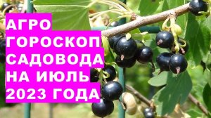 Агрогороскоп садовода на июль 2023 года. Агрогороскоп садівника на липень 2023 року