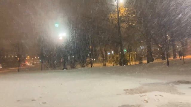 Настоящая зима пришла в Пушкин в ноябре смотреть онлайн