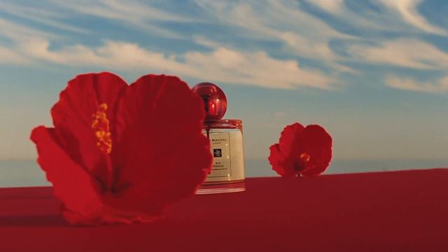 Jo Malone London 熱帶島嶼花園系列 смотреть онлайн