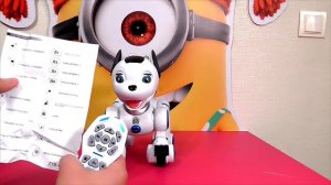 Распаковка - Собака робот ДРУЖОК!!!!