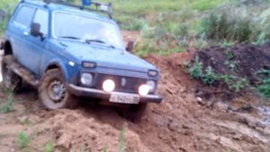 Нива и диагоналка