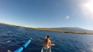 Dolphins and Outrigger Canoe