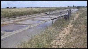 песни полуденных кузнечиков Вандеи