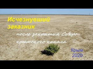 Крым без воды и умерший заказник. Астанинские плавни превратились в солончак