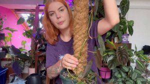Let’s install a mosspole! Planty chores and growth update🌿