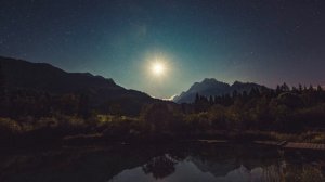 Звуки сверчков для спокойного и здорового сна.Успокаивающие звуки летнего вечера.Forest sounds///