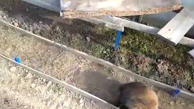 Неожиданные выходные на новой работе и сразу на дачу смотреть онлайн