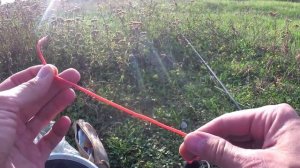 Ловля сома на медведку на донку с берега