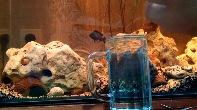 воронение смотреть онлайн