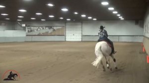 Berry Finnomenal - NRHA L4 Futurity Run in Prince George 2017