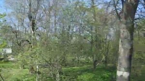 Через Переславское на Калининград