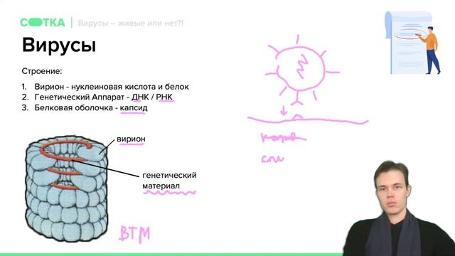 Вирусы - живые или нет!? | ОГЭ БИОЛОГИЯ 2021 | Онлайн-школа СОТКА смотреть онлайн