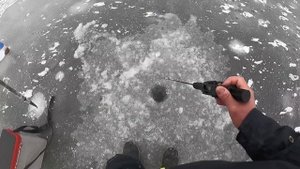 Судак разорвал VIBы! Раздача судака на ВИБЫ со льда. Виб - супер-приманка для судака. VIB