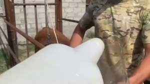 Откорм бычков ,у бычка забилась книжка заливаем сыворотку…