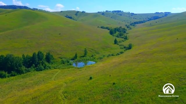 Жемчужина Алтая - развитие в 2021 году.
