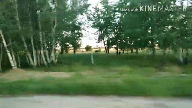 Ягода клубника в лес нас поманила. смотреть онлайн