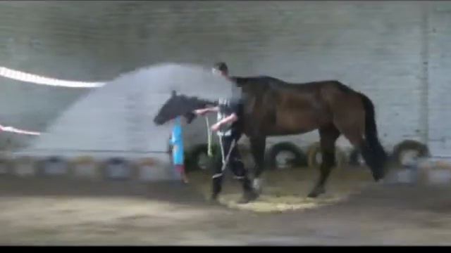 Карфаген. Напрыгивание на свободе. ПРОДАН! смотреть онлайн