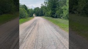 YFZ 450 Vs Yamaha Raptor 700