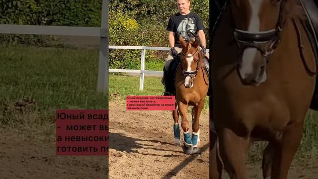 shorts а кто будет заезжать пони? Сами дети?