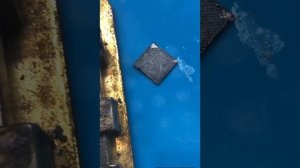 Xiaomi mi lite 11 lite нет изображения, не работает wi-fi, не работают камеры.