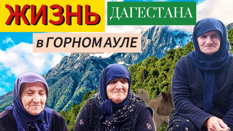 Жизнь в ауле