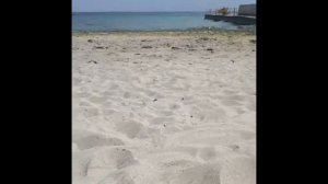 Мини коп с пинпоинтером Mars md на пляже в Одессе