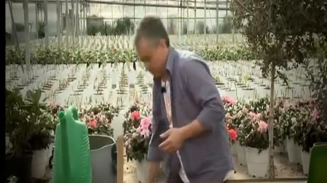 Δάκος της Ελιάς Αντιμετώπιση смотреть онлайн