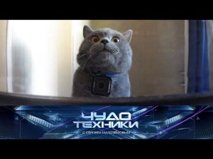 "Чудо техники": гаджеты для домашних животных, выбор коньков и нательный обогреватель (02.02.2020)