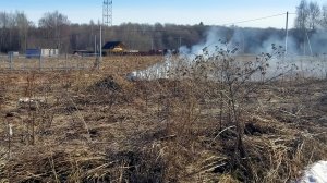 Участок в Шопше. Начало. Уборка территории.