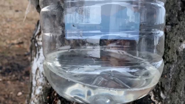 куда дует ветер 24.04.2021 | where the wind blows смотреть онлайн