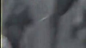 police beat football fans/ полиция побила футбольных фанатов
