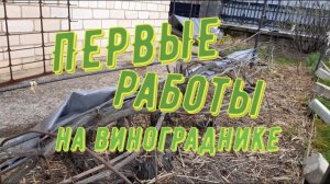 Первые работы на винограднике Открытие сезона