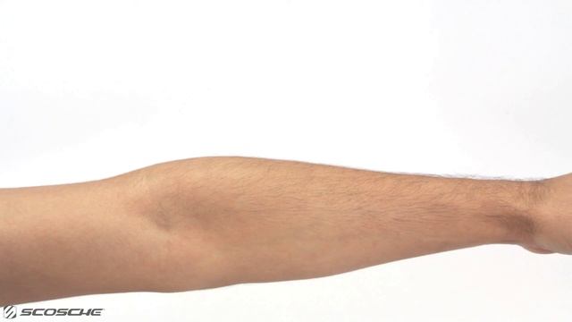 How to Connect the Scosche Rhythm+ Heart Rate Monitor to the Wahoo Fitness App смотреть онлайн