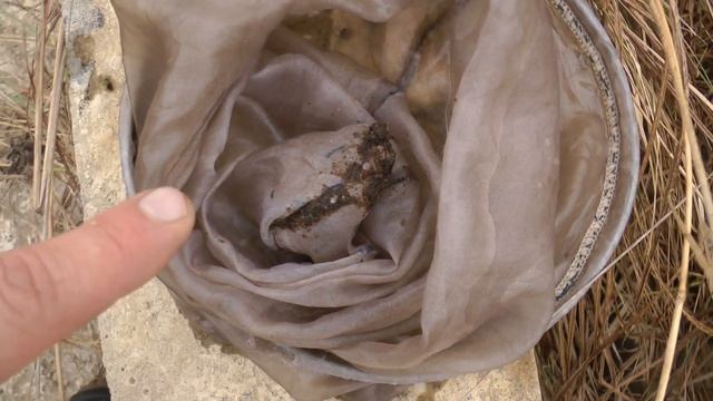 В поисках живого корма, исследование водоемов смотреть онлайн