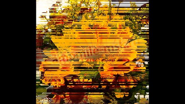 Красочный букет "Пчёлка" в салоне цветов Camomile смотреть онлайн