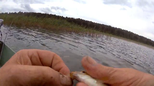 Тихая рыбалка. Ловля рыбы на поплавочную удочку. смотреть онлайн