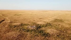 В тургайском регионе десять лет назад были обнаружены геоглифы.