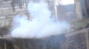 Мой питомец ЕНОТ ХАЙП Live Today