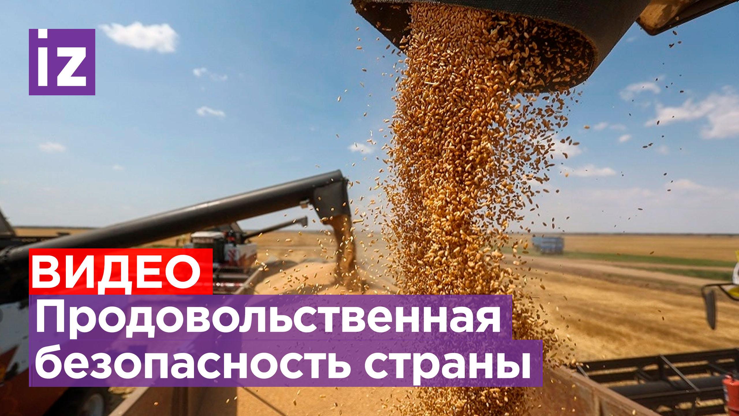 Еда государственной важности