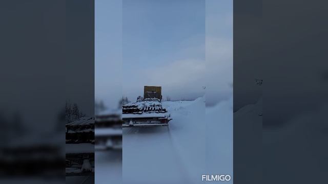 Дальнобойщики 2021
