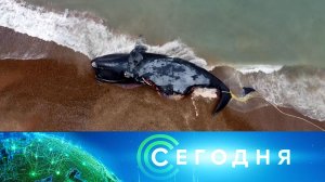 «Сегодня»: 15 октября 2022 года. 16:00 | Выпуск новостей | Новости НТВ