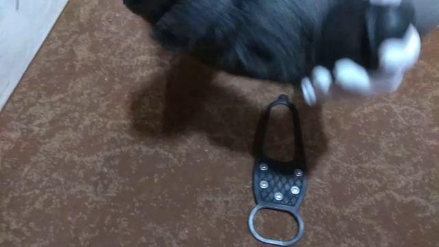 Как носить ледоступы смотреть онлайн