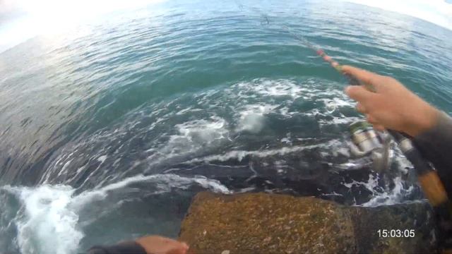 спасаем катрана луфарь' сарган' крючки owner смотреть онлайн