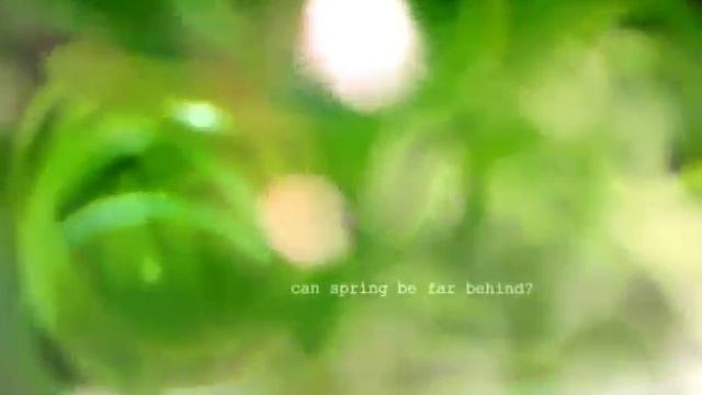 Большой набор резинок для плетения смотреть онлайн