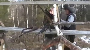 Охота на Байкале /Западный Хамар-Дабан/